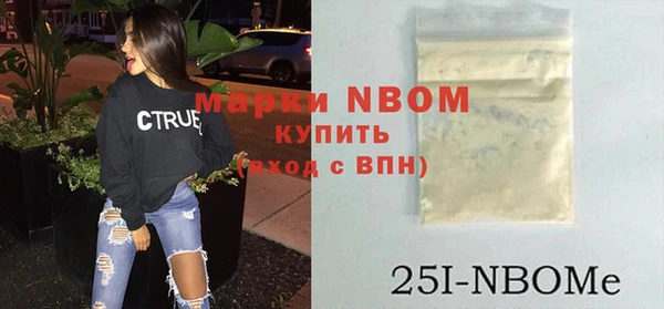 твердый Инсар