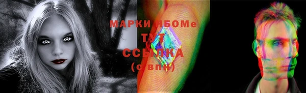твердый Инсар