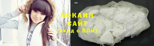 твердый Инсар