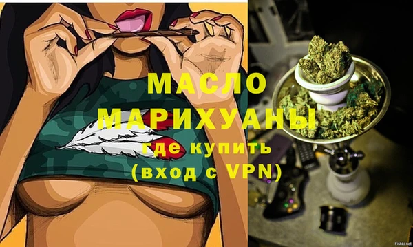 твердый Инсар
