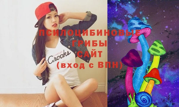 молекула духа Каменногорск