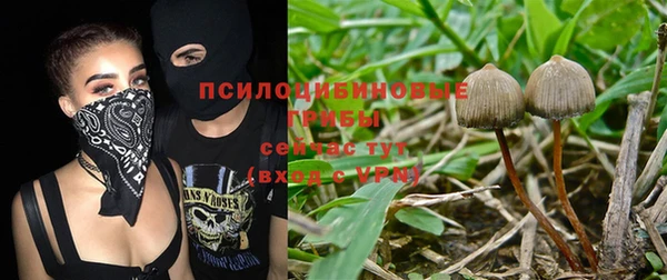 первитин Зеленодольск