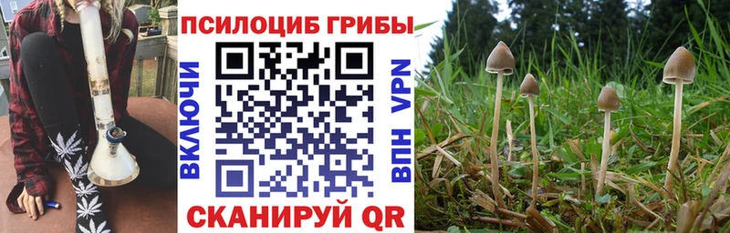 Псилоцибиновые грибы ЛСД  Купить  Кохма 