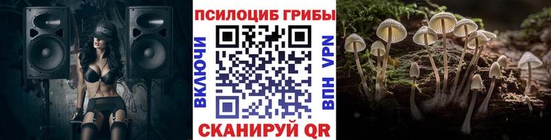 Псилоцибиновые грибы MAGIC MUSHROOMS Кохма